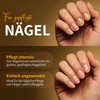 bedrop Propolis Nail Serum - High Dose Skin Care for