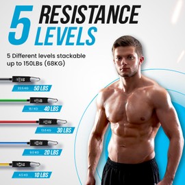 Resistance Bands Weight Building Kit 150 lbs 12 Elastic Bands for Yoga Calisthenics Gym Crossfit TRX Pilates Home Gym – Elastic Muscle Bands with Anklets and Door Grip