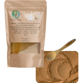 Lion's Mane powder - Fantastic Fungi® Lions Mane mushroom fruiting body powder - (Hericium Erinaceus) mushroom extract Concentrated 100:1 lions mane extract powder ready to use (100 grams - 3 months supply)