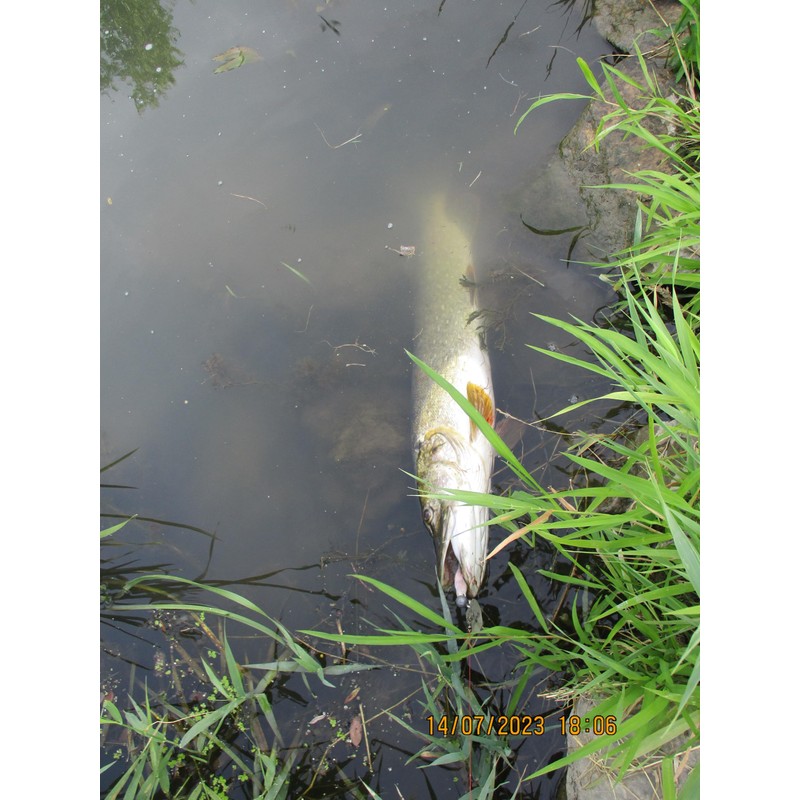 Twin-Turner® Chatterbait (4 times - 14 gr. - Textured Surface