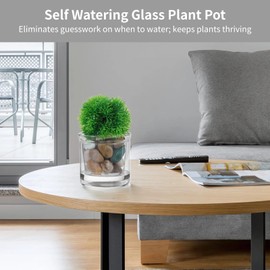 2PCS 4 Inch Self Watering Pot for Indoor Plants, Clear Self Watering Pots with Saucer Reservoir Drainage Holes Bottom Watering Pot for African Violet Orchid Flowers Houseplant (2PCS)