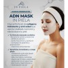 Adn Mask Colageno Con Secretoma, Exosomas Y Pdrn Salmón 4hrs