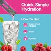 DIALED MOODS DIALED MOODS Electrolyte Powder - Raspberry Roulette –