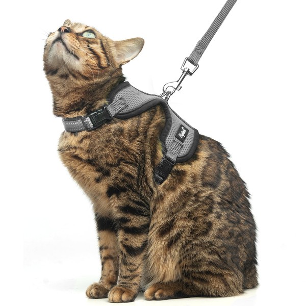 PUPTECK Cat Harness and Leash Set Escape Proof, Reflective Adjustable