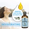 Natural Planet Eucalyptus Essential Oil Therapeutic Grade Pure, 100% Pure