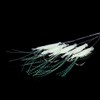 FOLANDO 5pcs Artificial Shrimp Bait, Luminous Swimbait Shrimp Artificial Shrimp