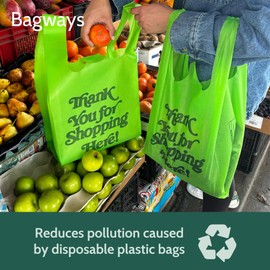 Bagways 300 PACK Reusable Shopping Bags 12.5 x 21.5, Nonwoven Eco-Friendly Material for Grocery and Gifts, Green