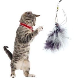 Kat Fly Cat Wand Refill Teaser Toy - Interactive Cat Wand Toy Attachment with Real Feathers - Bug (Black)