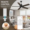 Biukis Ceiling Fan with Remote: 52 Inch Outdoor Ceiling fans