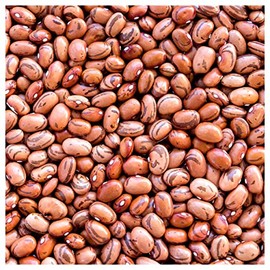 Everwilde Farms - 1 Lb Pinto Dry Bean Seeds - Gold Vault