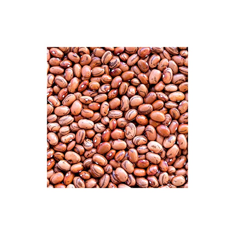 Everwilde Farms - 1 Lb Pinto Dry Bean Seeds -