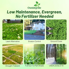 Outsidepride Outsidepride Perennial White Dutch Clover Seed - 2 lbs. Nitrocoated, Inoculated Clover Seeds for Lawn Alternative, Erosion Control, Food Plots, Ground Cover, & Pasture Mixtures in USDA Zones 3-10