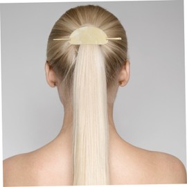 FOMIYES 2pcs Acrylic Hair Stick Fork Hairpin for Women Girls Oval Shape Hair Stick Hair Bun Ponytail Holder Hair Accessories Girl Simple Stylish Design