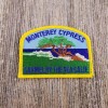 Souvenir Kingdom California Patch – Monterey Cypress Tree – Carmel