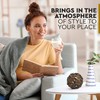 Everydecor Metal Decorative Sphere for Home Decor - Decorative Balls
