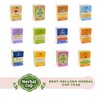 Herbal Cup Ayurveda Turmeric Tea, Organic Ginger & Black Pepper,