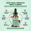 Lymphatic Drainage Drops - Lymph Detox Cleanse For Immune Support