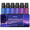 ASAKUKI ASAKUKI Essential Oils, Essential Oil Blends Set for Diffusers,