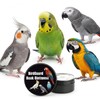 BirdGuard Bird Beak Oil & Conditioner for Birds, Parrot Beak