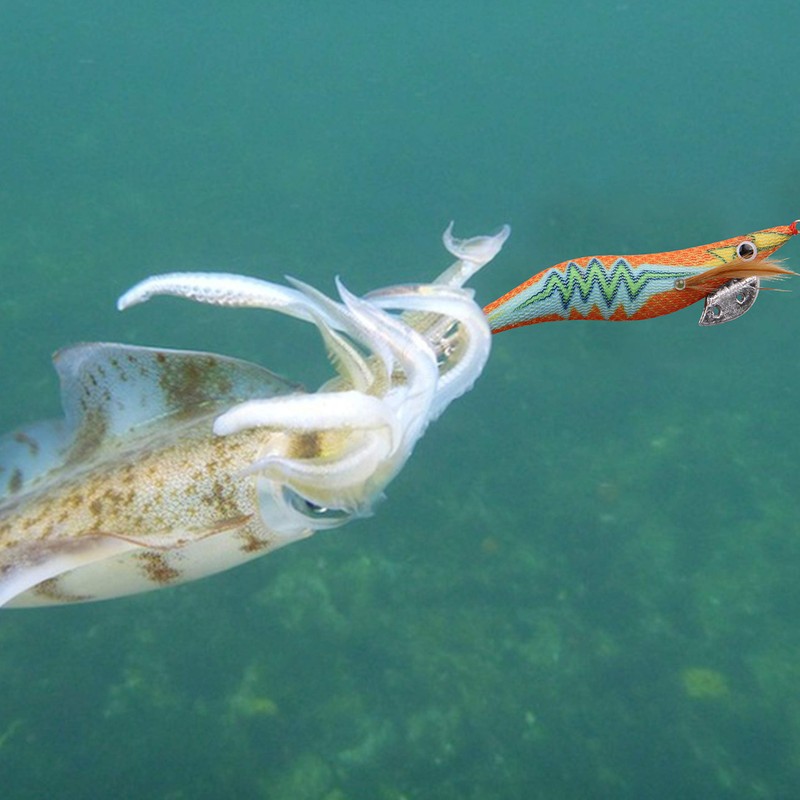 SHADDOCK Fishing Squid Lures Kit 10pcs Luminous Squid Jig Shrimp