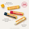 Burt's Bees Lilypad Green Lipstick – Rosa Pink Tint, Hidratación