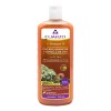 Shampoo Cacahuananche Y Semilla De Uva Cuarzo 550 ml