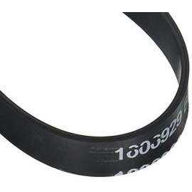 Bissell Smart Details for Style 7,9,10,12,14,16 Vacuum Belt