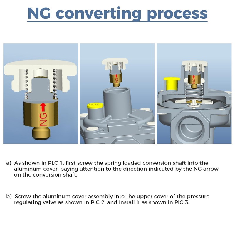 TEENGSE 1/2" Natural Gas and Liquefied Interchange Pressure Regulator, Natural