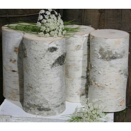 Birch Pillars (7 inch)