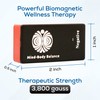 SaveMeMagnets - Biomagnetism Wellness Kit | 6 Therapeutic-Grade Magnets &