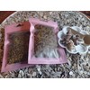 Hermit Crab Habitat Kit, Natural Coconut Hides x 2, 3