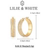 LILIE&WHITE Earrings for Women Gold Plated Hoop Earrings for Women