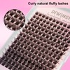 DIWINSH 168Pcs Lash Clusters Wispy Individual Lashes 10-16mm D Curl