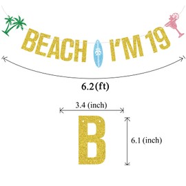 Gold Glitter Beach I'M 19 Banner, Beach Surfing Surfboard Cheers to 19 Years Decor, Summer Hawaiian Luau Tropical Themed 19th Birthday Party Decorations Supplies