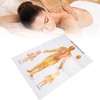 Chinese and English Acupoint Wall Chart Front Large Size Comprehensive