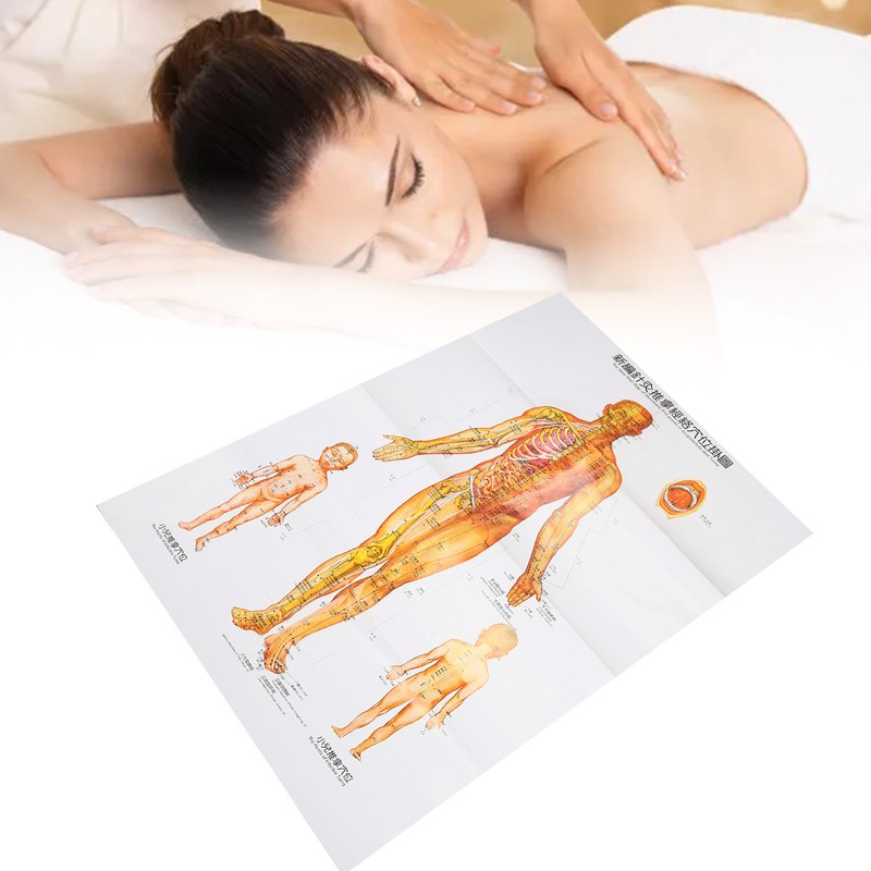 Chinese and English Acupoint Wall Chart Front Large Size Comprehensive