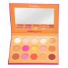 Paleta De Sombras Orange Squeeze De Bebella Cosmetics