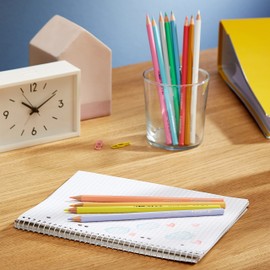 Staedtler Colouring Pencil 146 Classic Hexagonal Format, Soft Lead, Highly Pigmented Colours, 12 Pastel Colours in Cardboard Case, 146 C12 PA