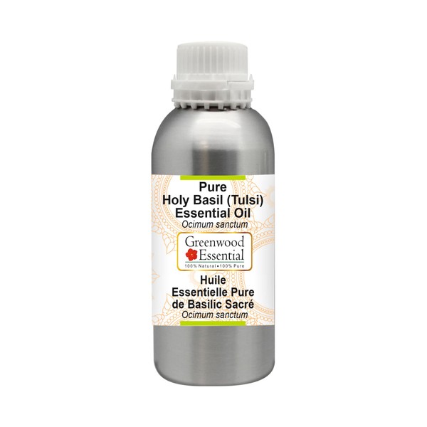 Greenwood Essential Natural Pure Holy Basil (Tulsi) Essential Oil (Ocimum Sanctum) Natural Pure Therapeutic Grade Steam Distilled 300 ml (10 oz)