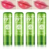 Set De 4 Labiales De Aloe Vera, Brillo Labial Mágico