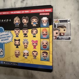 Funko Bitty Pop Friends- 265 Joey Tribbiani
