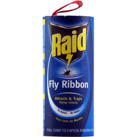 Raid Fly Ribbon, Fruit Fly Traps for Indoors and Outdoors, Bug Trap for Winged Insects, Pack of 10