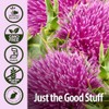 Nature's Answer | Milk Thistle, 2 000 Mg, 1 Oz