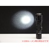 SIGHTRON(サイトロン) LEDライト ブライトテック(BRIGHT-TECH) EX100AL 明るさ100ルーメン 防水 SOSモード 点滅モード搭載 BT1007