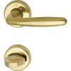 Hoppe Roissy Door Handle Set with Rosette PZ Polished Brass