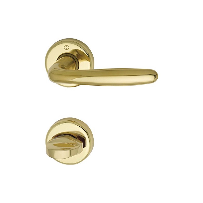 Hoppe Roissy Door Handle Set with Rosette PZ Polished Brass