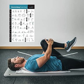 NewMe Fitness Workout Posters for Home Gym, Stretching Exercise Posters for Full Body Workout, Core Abs Legs Glutes & Upper Body Training Program 1 Pack