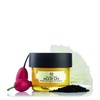 The Body Shop Oils of Life Intensely Revitalising Eye Cream