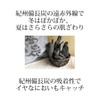 [Kenbi Mirai] Far Infrared Kishu Binchotan Fiber, Body Warmer/Neck Warmer,