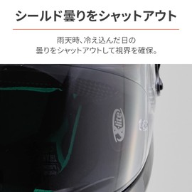 Daytona 62314 Motorcycle Helmet Shield, Anti-Fog, 0.9 fl oz (27 ml)